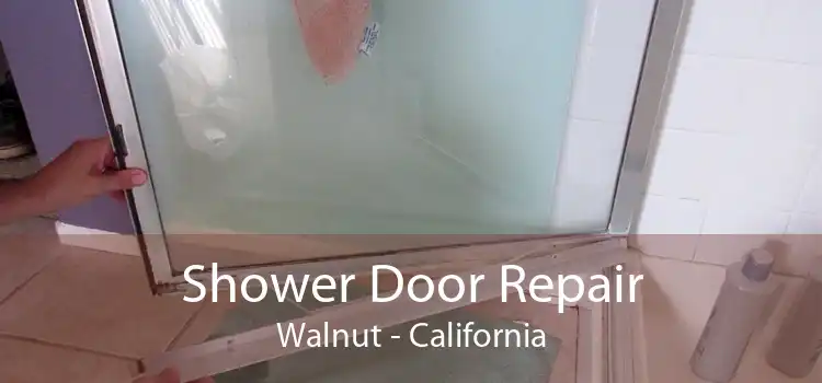 Shower Door Repair Walnut - California