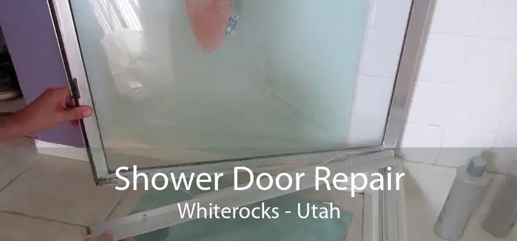 Shower Door Repair Whiterocks - Utah