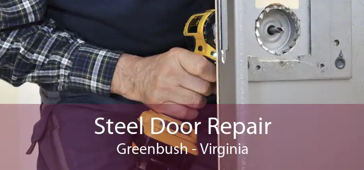 Steel Door Repair Greenbush - Virginia