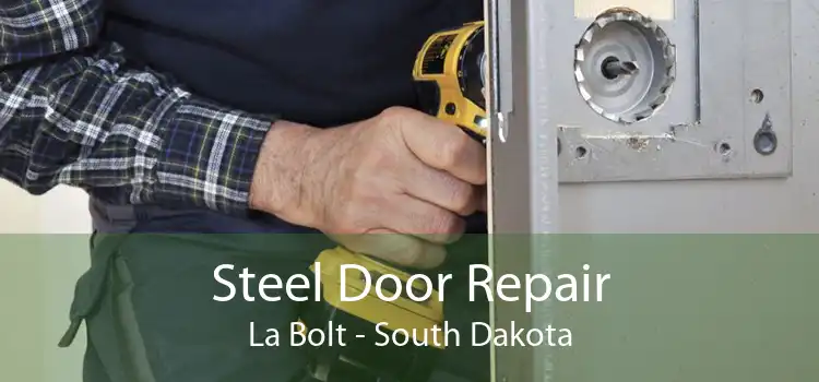 Steel Door Repair La Bolt - South Dakota