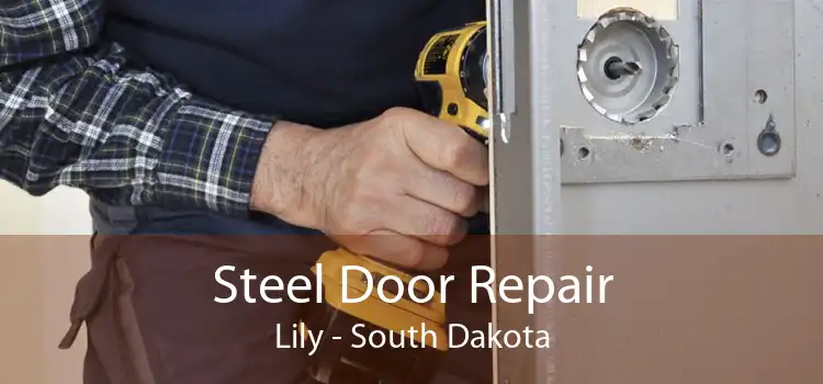 Steel Door Repair Lily - South Dakota