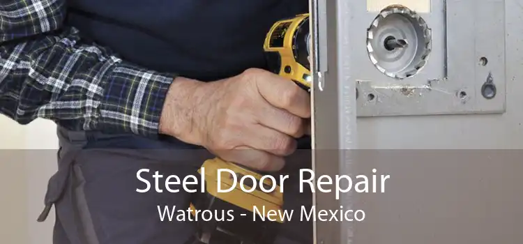 Steel Door Repair Watrous - New Mexico