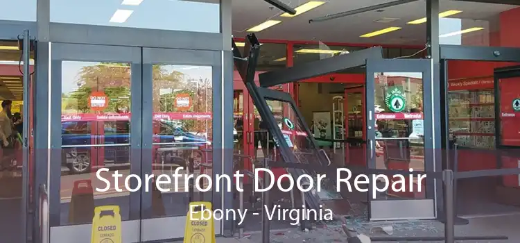 Storefront Door Repair Ebony - Virginia