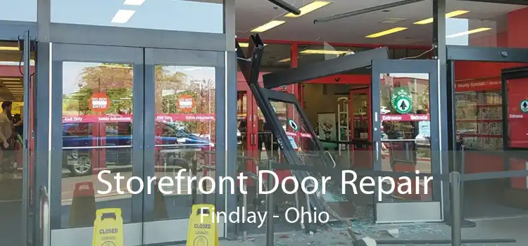 Storefront Door Repair Findlay - Ohio