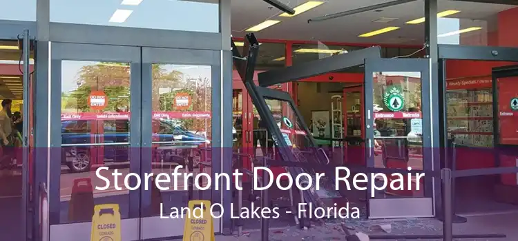 Storefront Door Repair Land O Lakes - Florida
