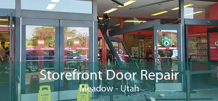 Storefront Door Repair Meadow - Utah