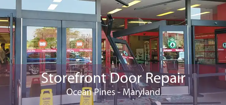 Storefront Door Repair Ocean Pines - Maryland