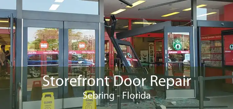 Storefront Door Repair Sebring - Florida