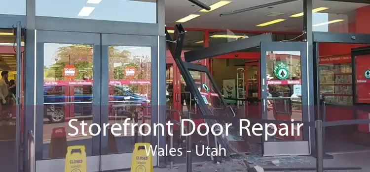 Storefront Door Repair Wales - Utah