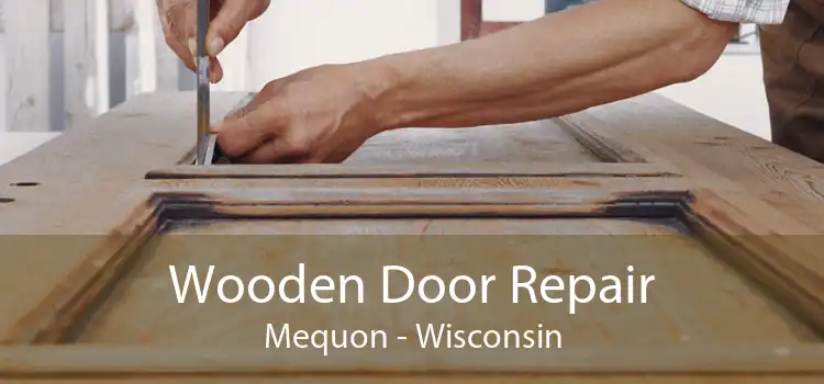 Wooden Door Repair Mequon - Wisconsin