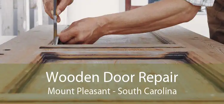 Wooden Door Repair Mount Pleasant - South Carolina