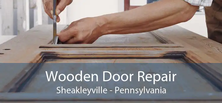 Wooden Door Repair Sheakleyville - Pennsylvania